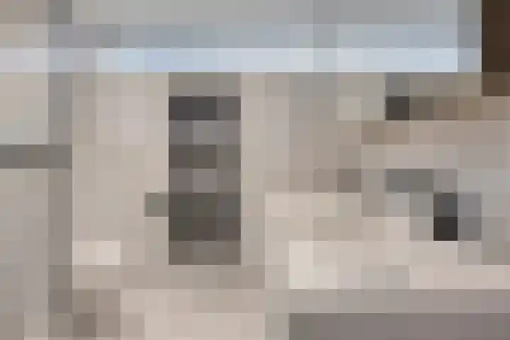 Hoge Nes 12 Heerjansdam thumbnail 23