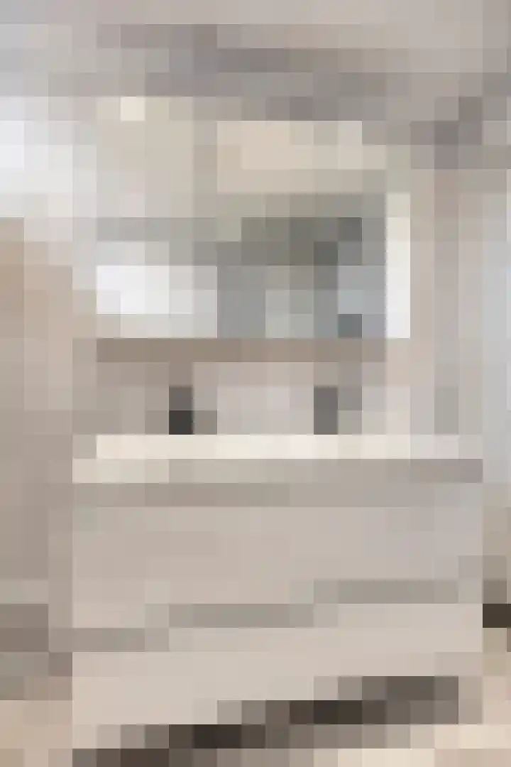 Hoge Nes 12 Heerjansdam thumbnail 25