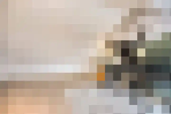 Hoge Nes 12 Heerjansdam thumbnail 27