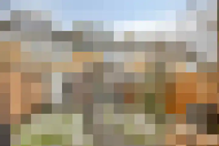Hoge Nes 12 Heerjansdam thumbnail 29