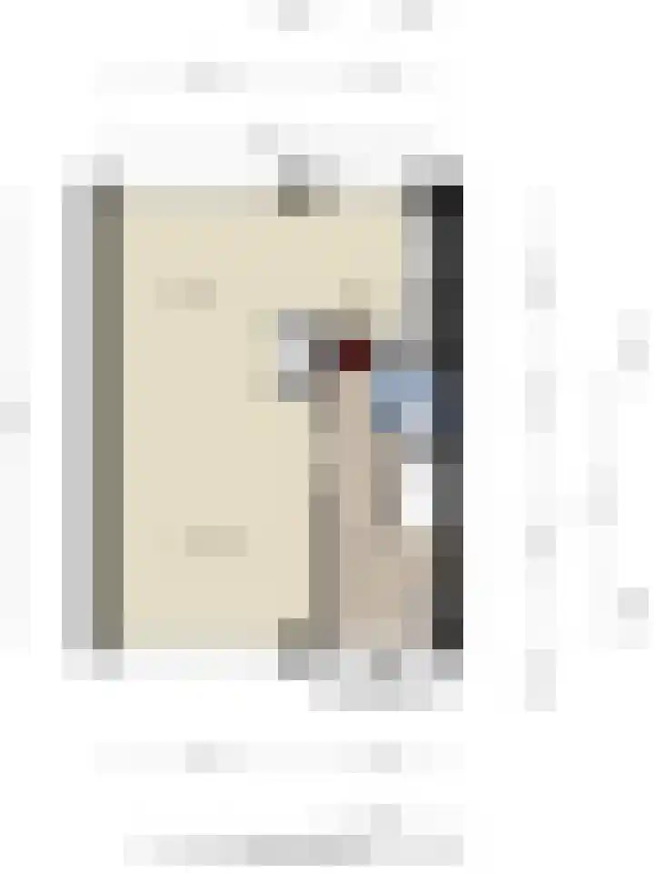 Hoge Nes 12 Heerjansdam thumbnail 31