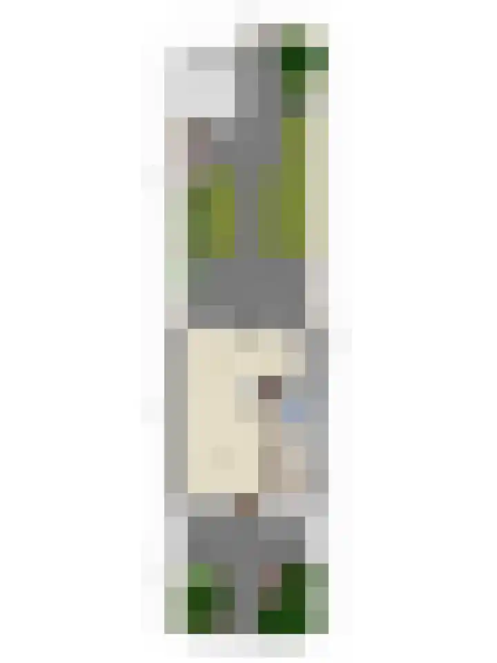 Hoge Nes 12 Heerjansdam thumbnail 34