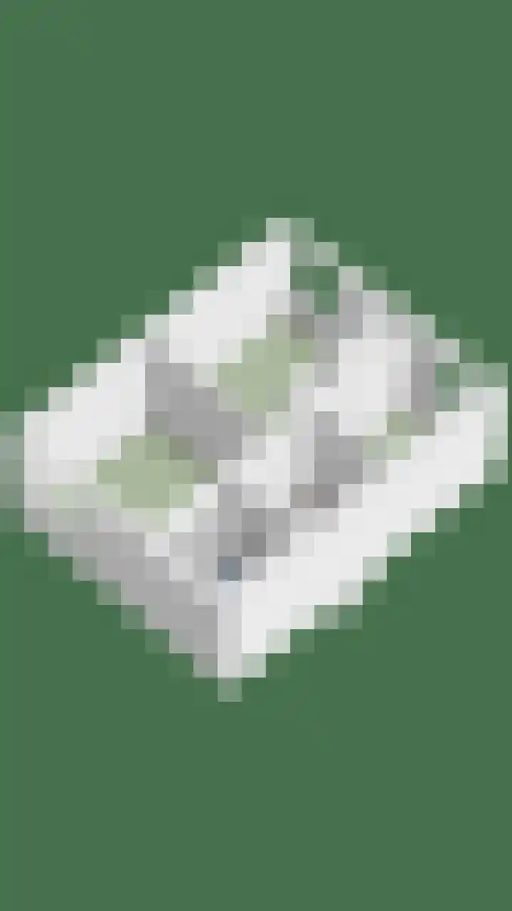 Hoge Nes 12 Heerjansdam thumbnail 37