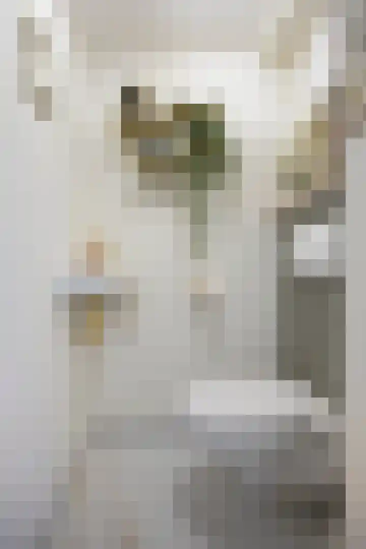 Hoge Nes 12 Heerjansdam thumbnail 4