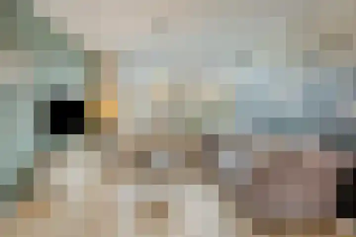 Hoge Nes 12 Heerjansdam thumbnail 6