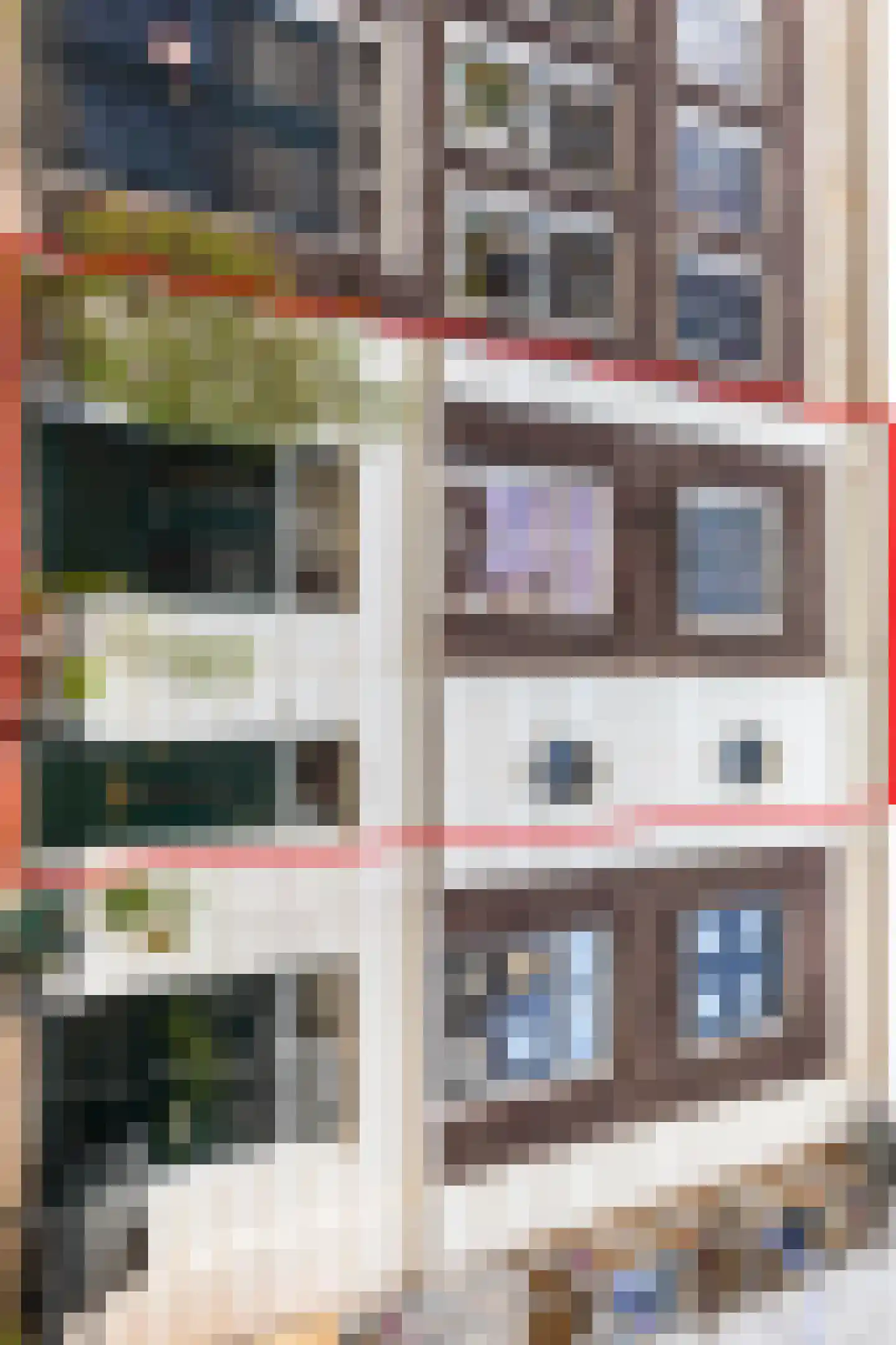 Hoge Nieuwstraat 10 Dordrecht thumbnail 36