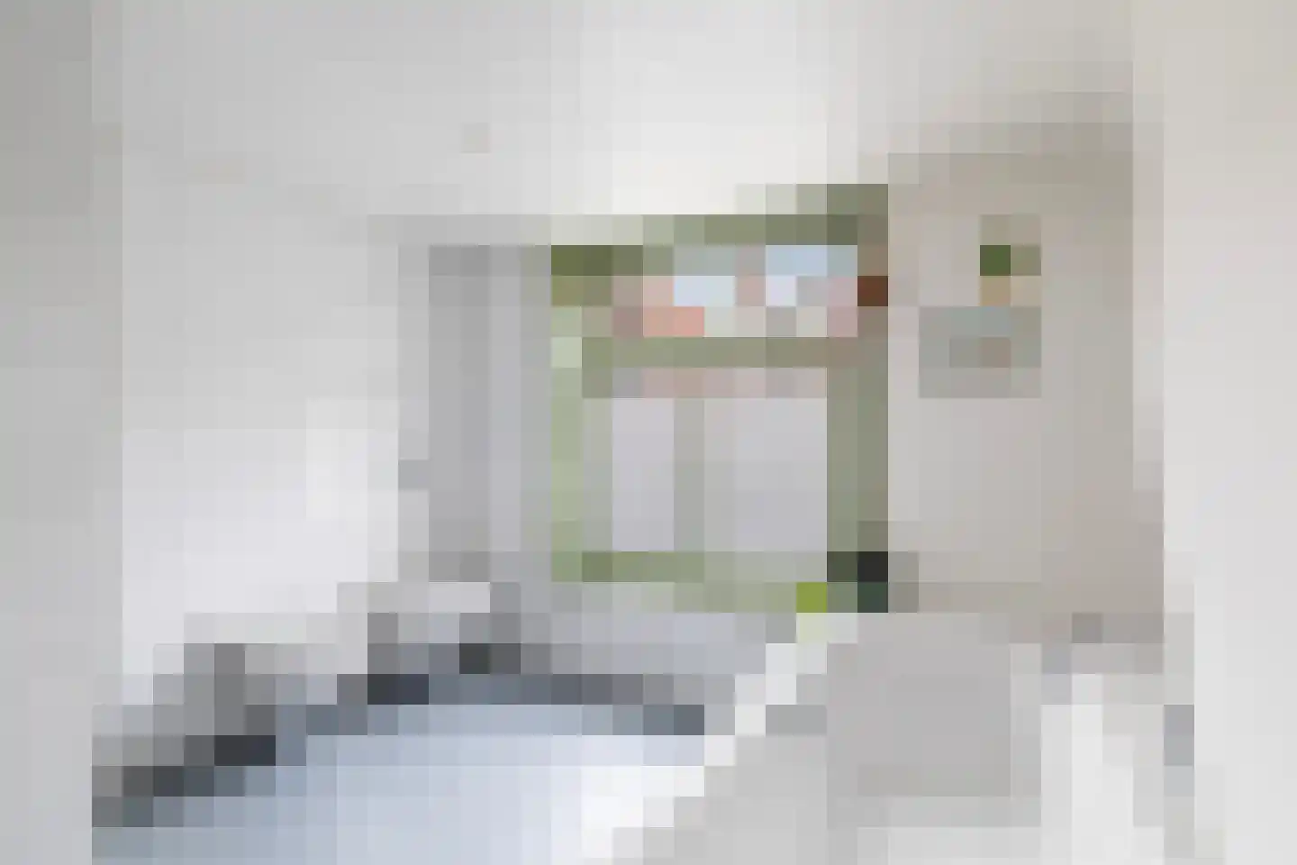 Hoge Nieuwstraat 10 Dordrecht thumbnail 4