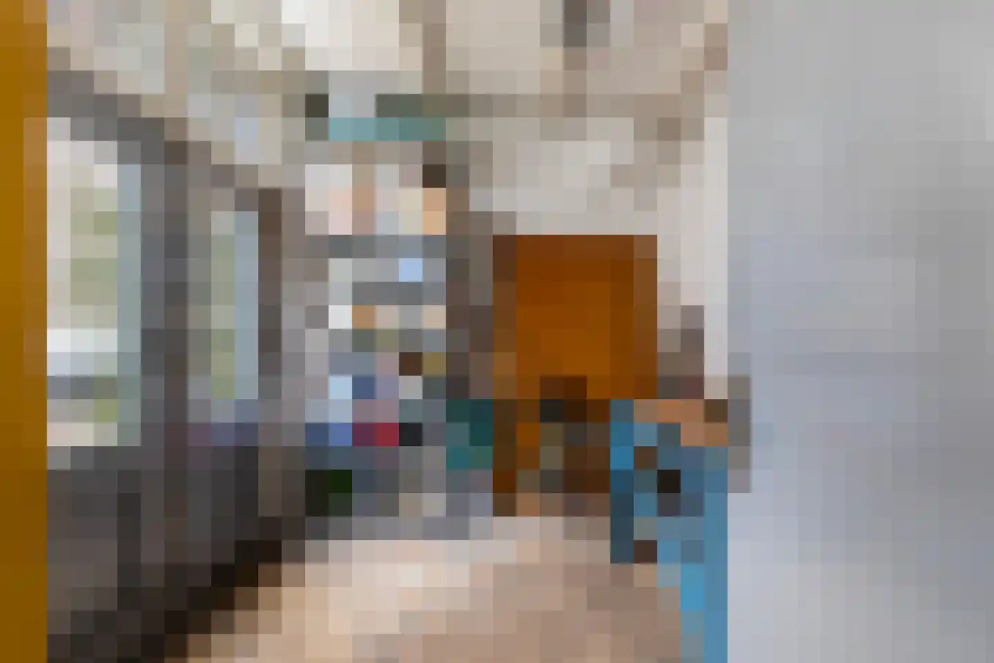 Hoge Nieuwstraat 10 Dordrecht thumbnail 5