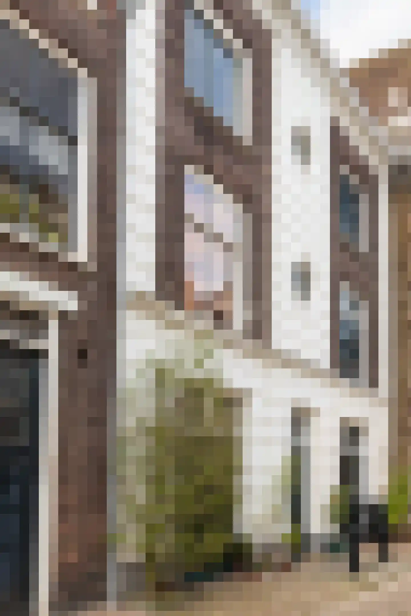 Hoge Nieuwstraat 10 Dordrecht thumbnail 53