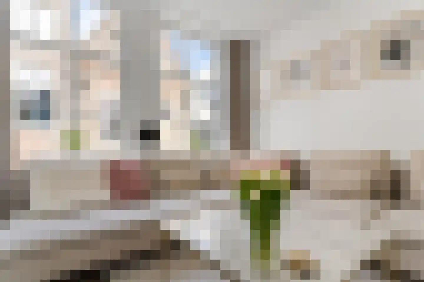 Hoge Nieuwstraat 32 Dordrecht thumbnail 21