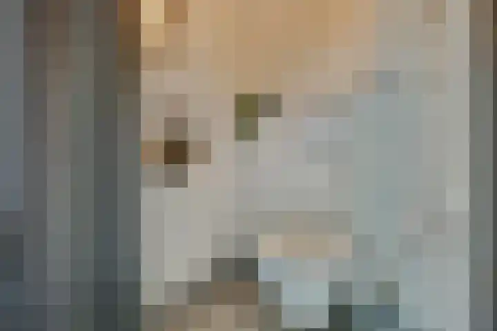 Hoge Noordweg 11 Naaldwijk thumbnail 17