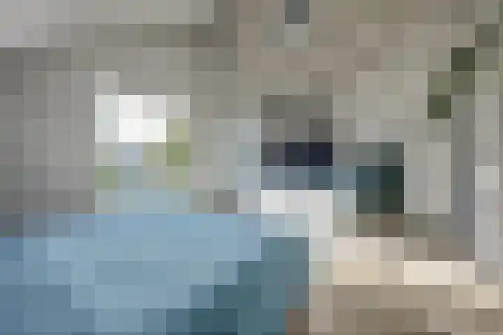 Hoge Noordweg 11 Naaldwijk thumbnail 21