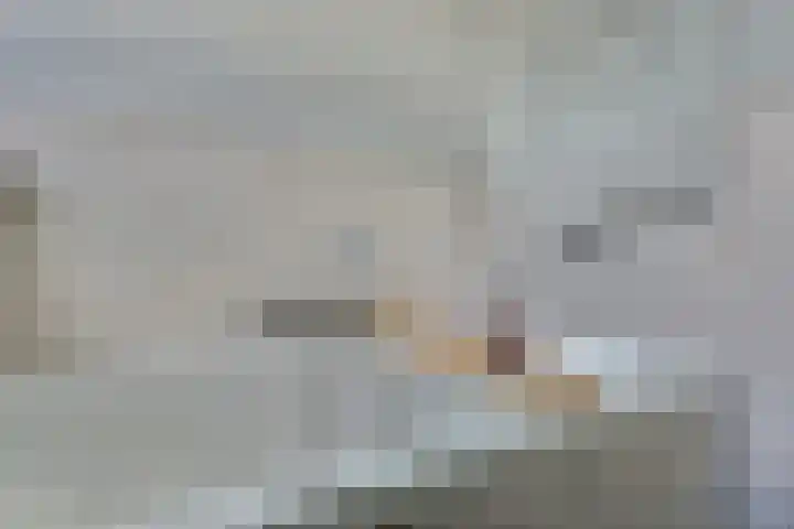 Hoge Noordweg 11 Naaldwijk thumbnail 24