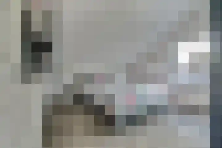 Hoge Noordweg 11 Naaldwijk thumbnail 26