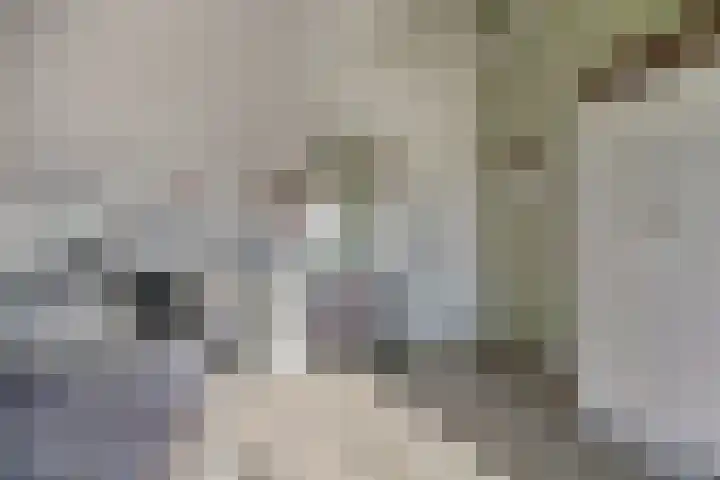 Hoge Noordweg 11 Naaldwijk thumbnail 29