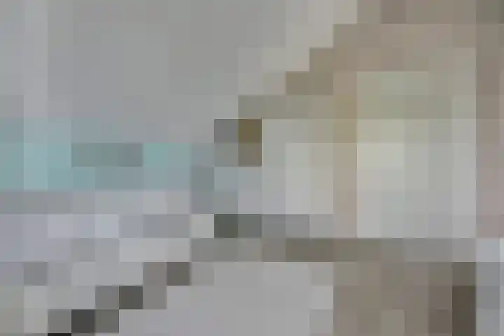 Hoge Noordweg 11 Naaldwijk thumbnail 34