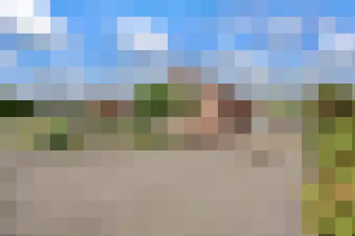 Hoge Noordweg 11 Naaldwijk thumbnail 4