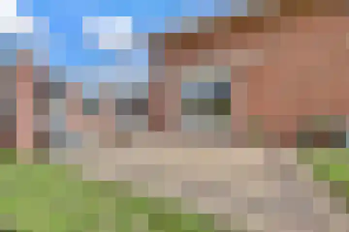 Hoge Noordweg 11 Naaldwijk thumbnail 41