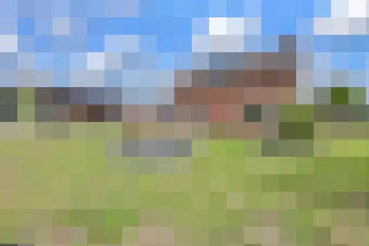 Hoge Noordweg 11 Naaldwijk thumbnail 43