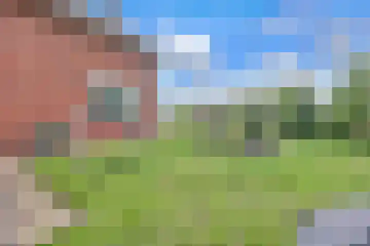 Hoge Noordweg 11 Naaldwijk thumbnail 44