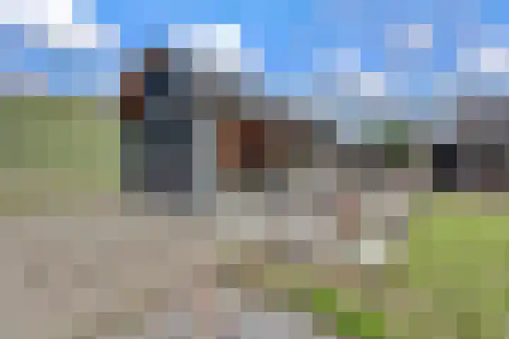 Hoge Noordweg 11 Naaldwijk thumbnail 51
