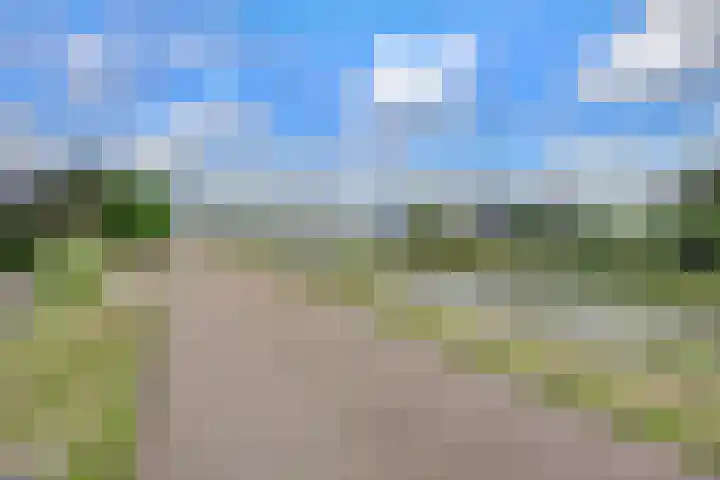 Hoge Noordweg 11 Naaldwijk thumbnail 52