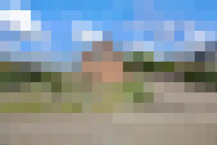 Hoge Noordweg 11 Naaldwijk thumbnail 53