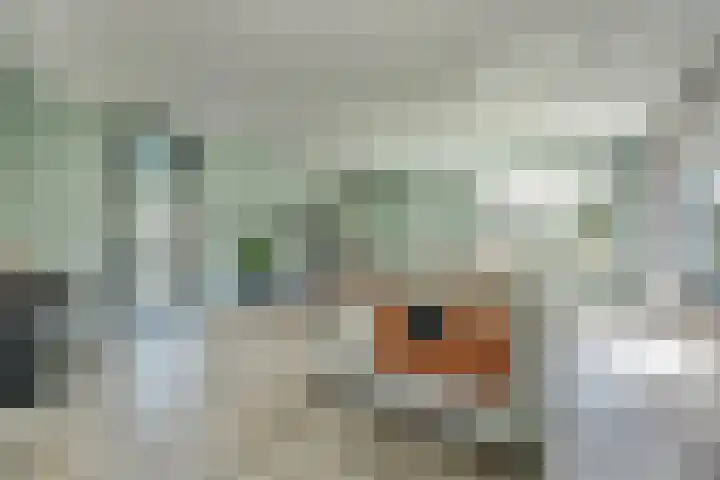Hoge Noordweg 11 Naaldwijk thumbnail 9