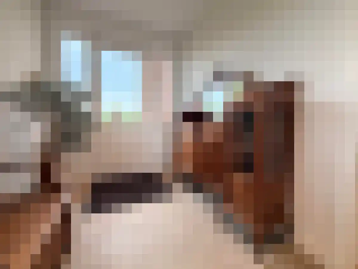 Hoge Noordweg 14 Naaldwijk thumbnail 4