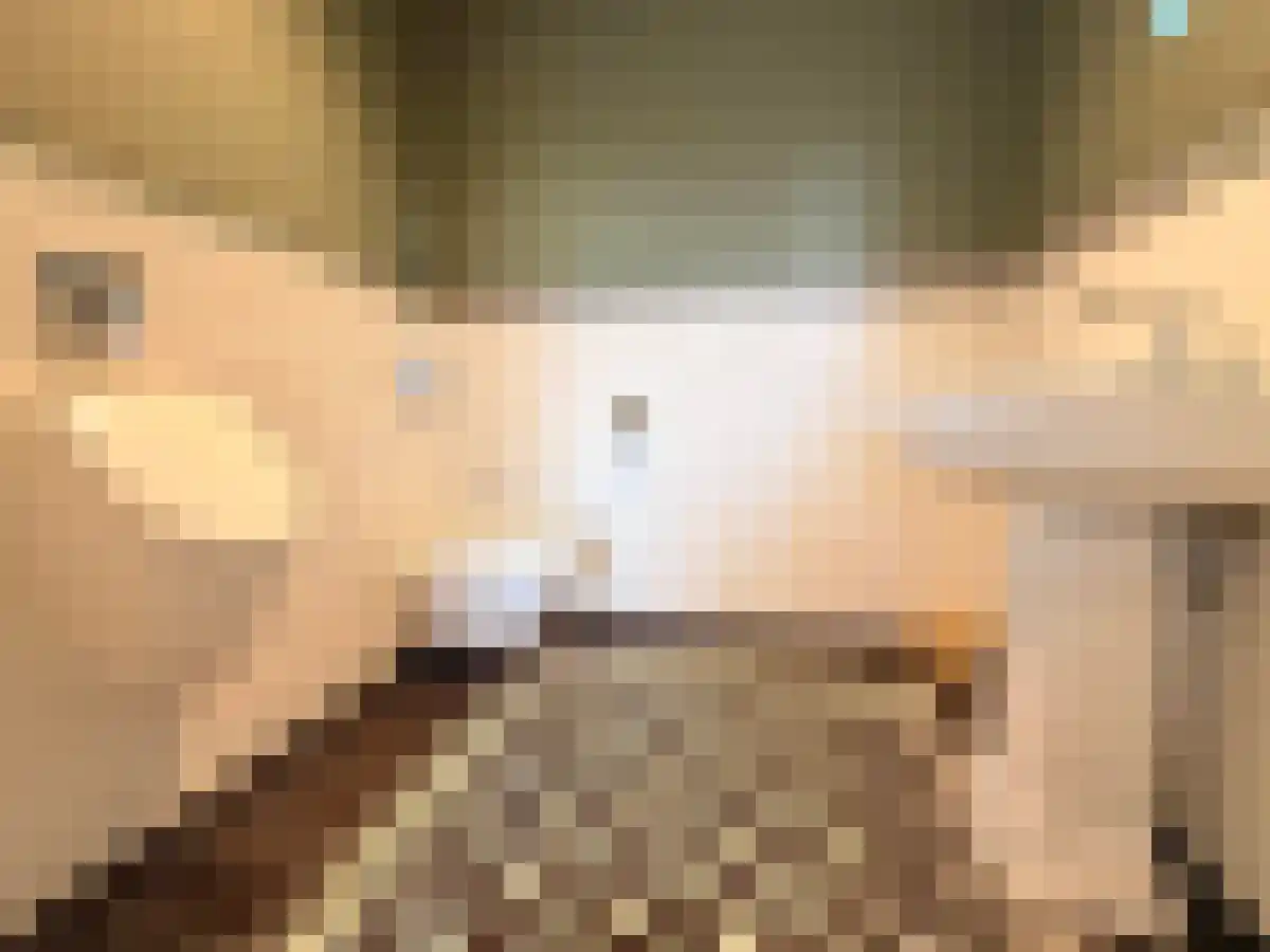 Hoge Noordweg 14 Naaldwijk thumbnail 5