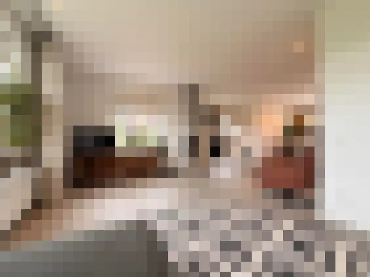Hoge Noordweg 14 Naaldwijk thumbnail 6