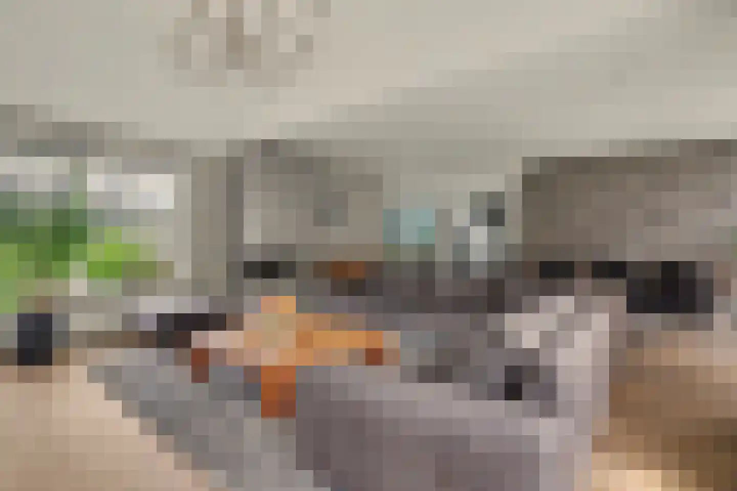 Hoge Noordweg 25 Naaldwijk thumbnail 10