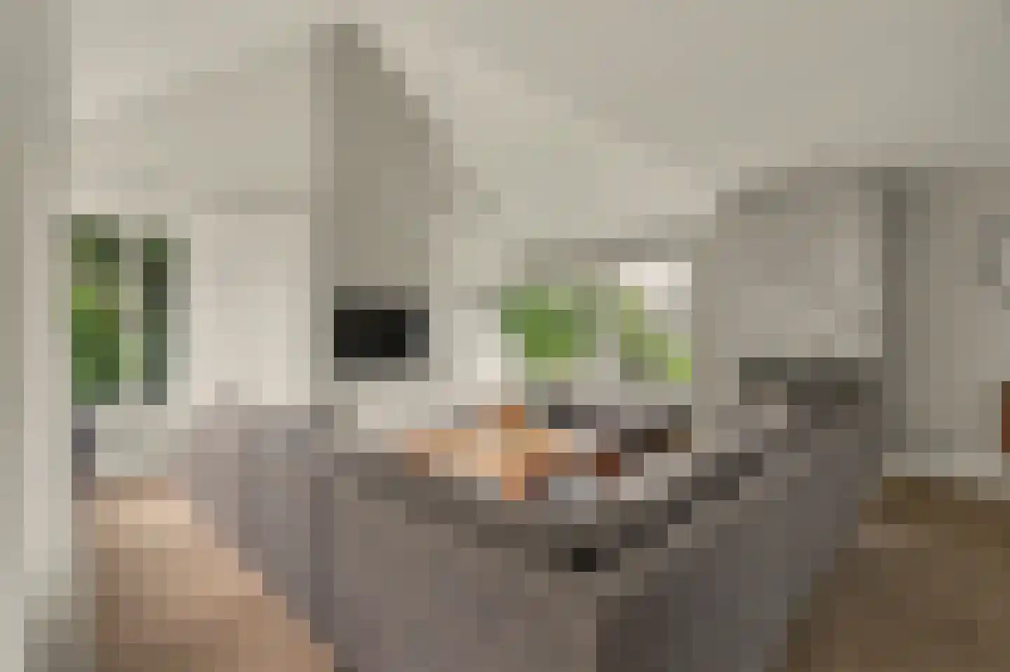 Hoge Noordweg 25 Naaldwijk thumbnail 11