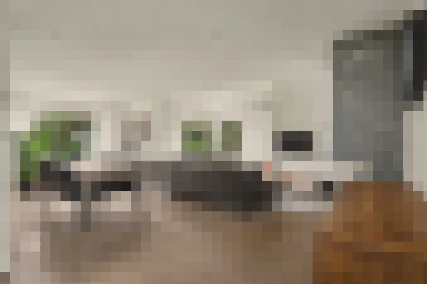 Hoge Noordweg 25 Naaldwijk thumbnail 12