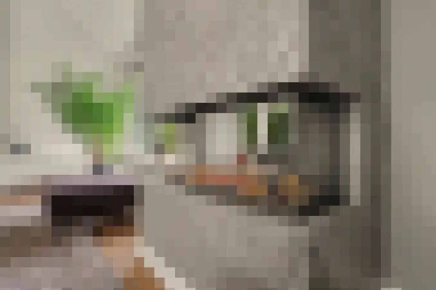 Hoge Noordweg 25 Naaldwijk thumbnail 14