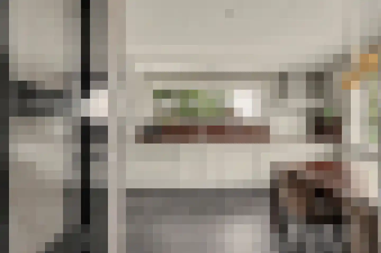 Hoge Noordweg 25 Naaldwijk thumbnail 16
