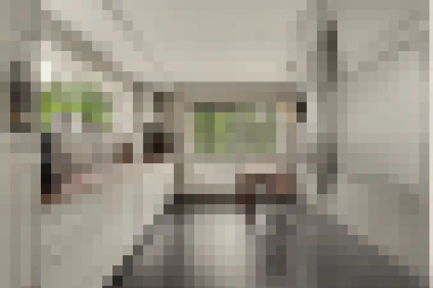 Hoge Noordweg 25 Naaldwijk thumbnail 17