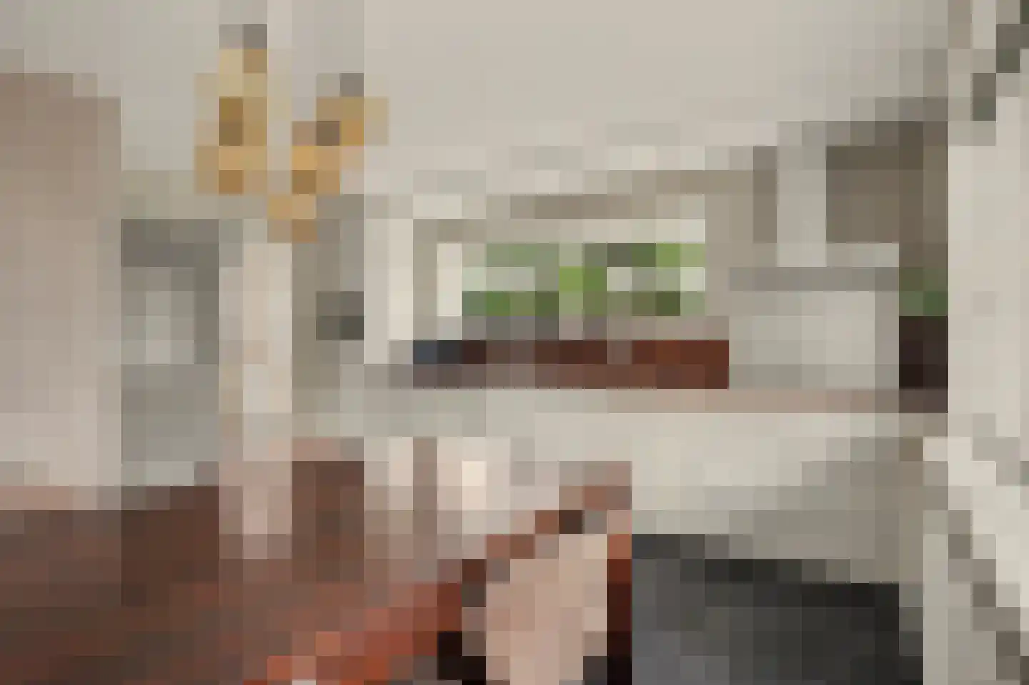 Hoge Noordweg 25 Naaldwijk thumbnail 18