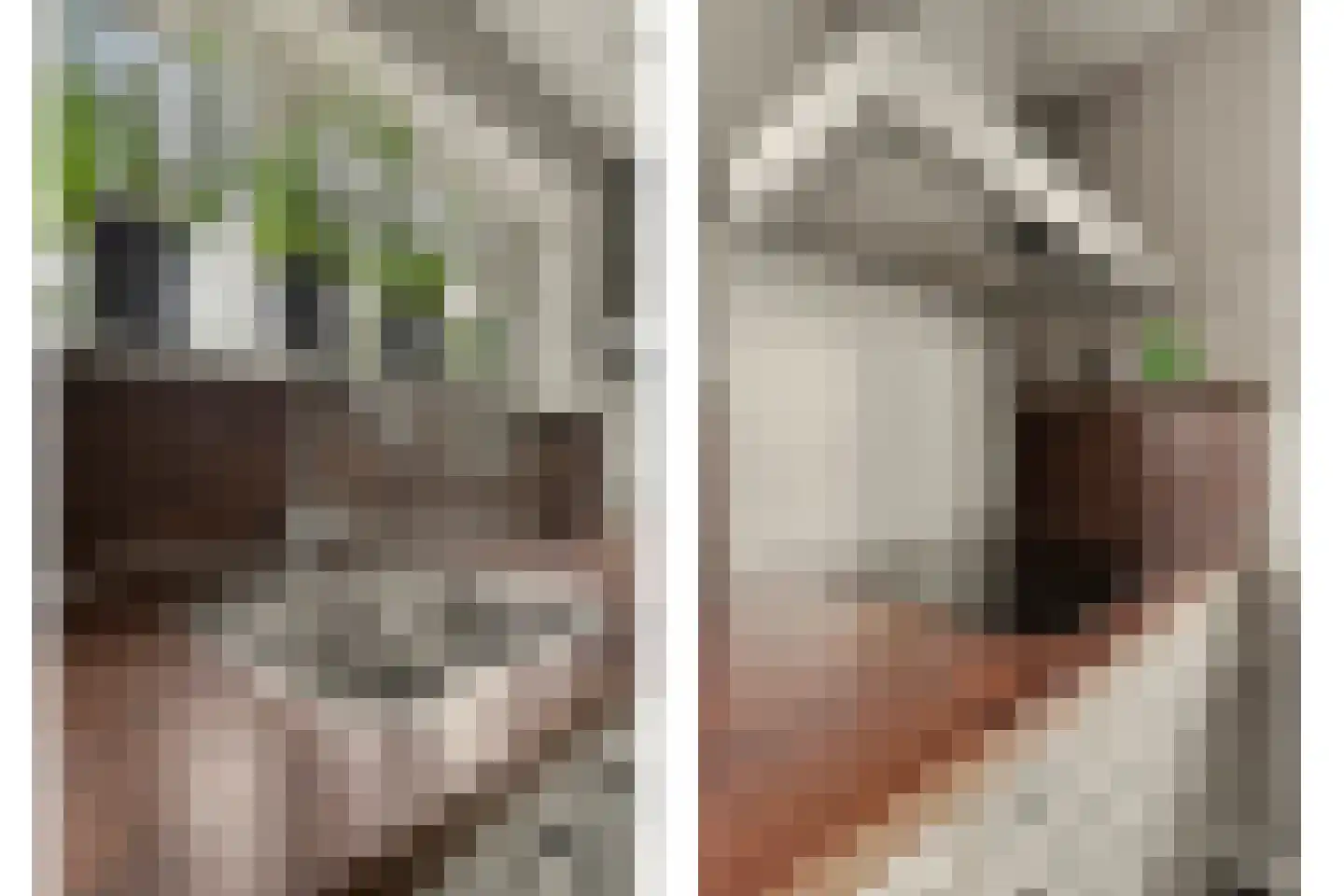Hoge Noordweg 25 Naaldwijk thumbnail 19