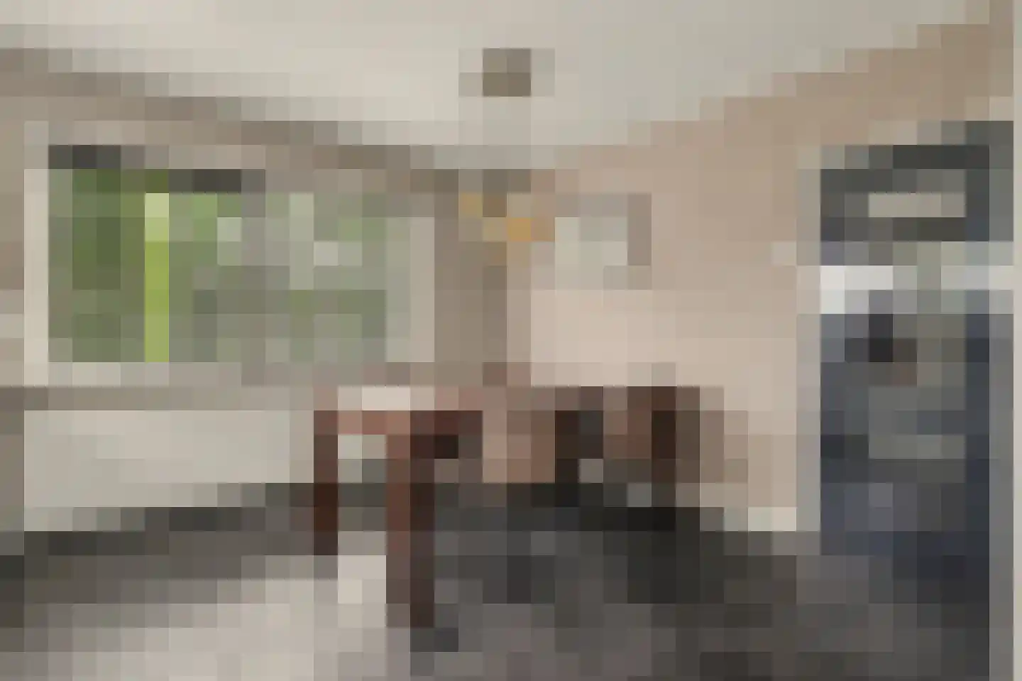 Hoge Noordweg 25 Naaldwijk thumbnail 20