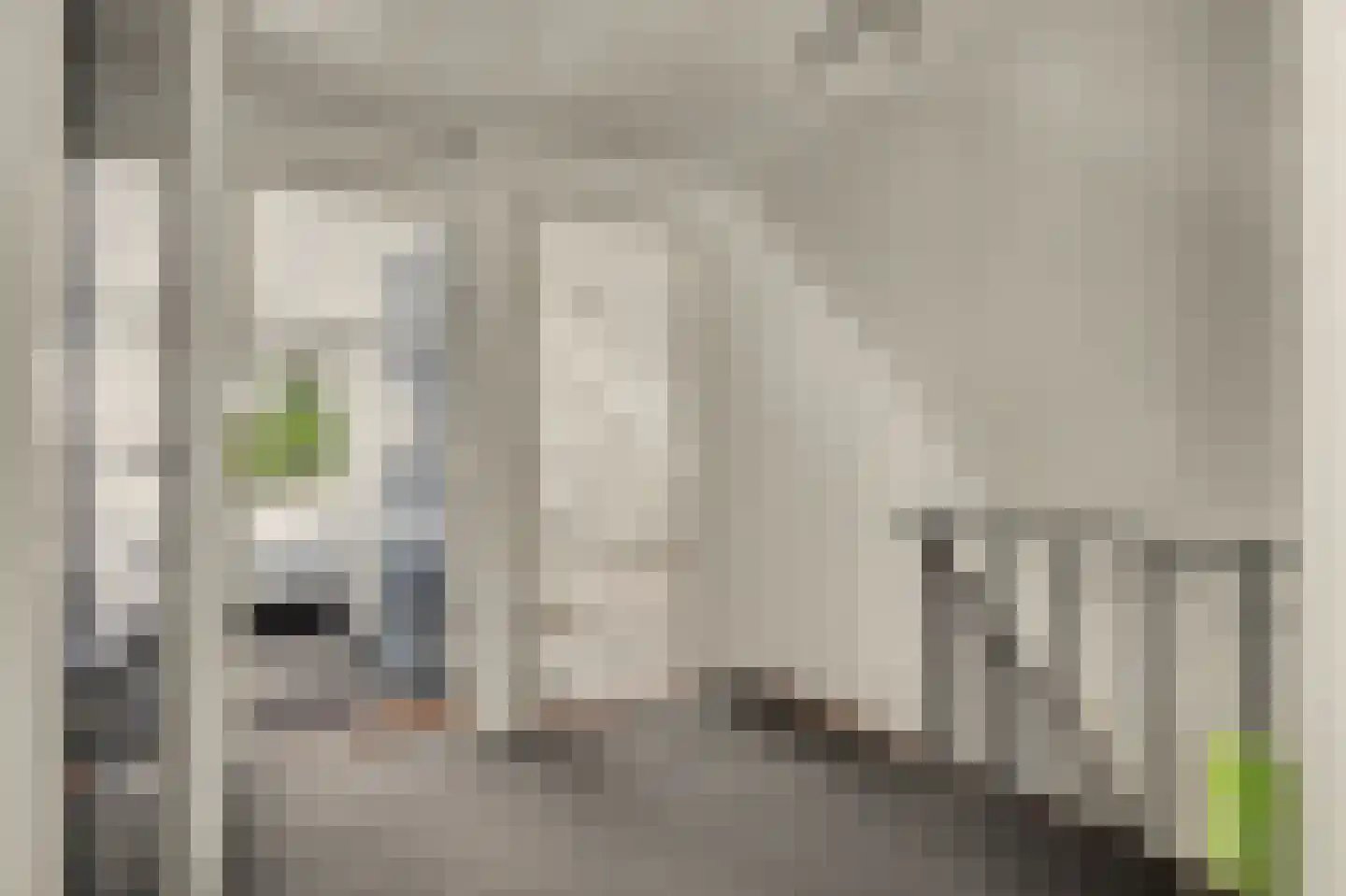 Hoge Noordweg 25 Naaldwijk thumbnail 23
