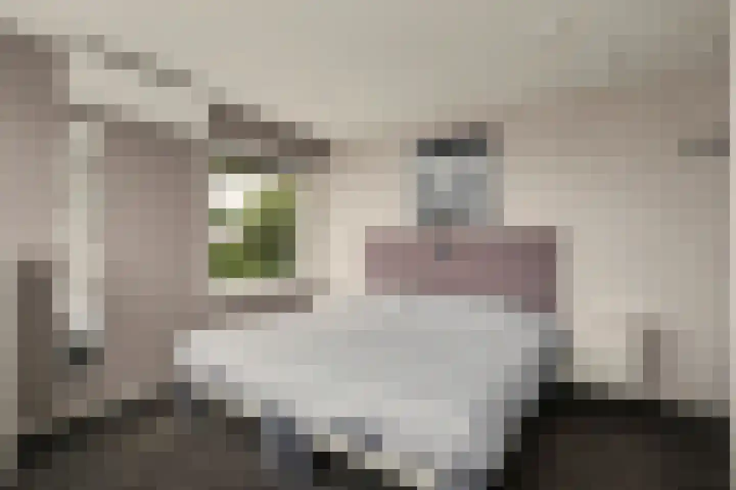 Hoge Noordweg 25 Naaldwijk thumbnail 24