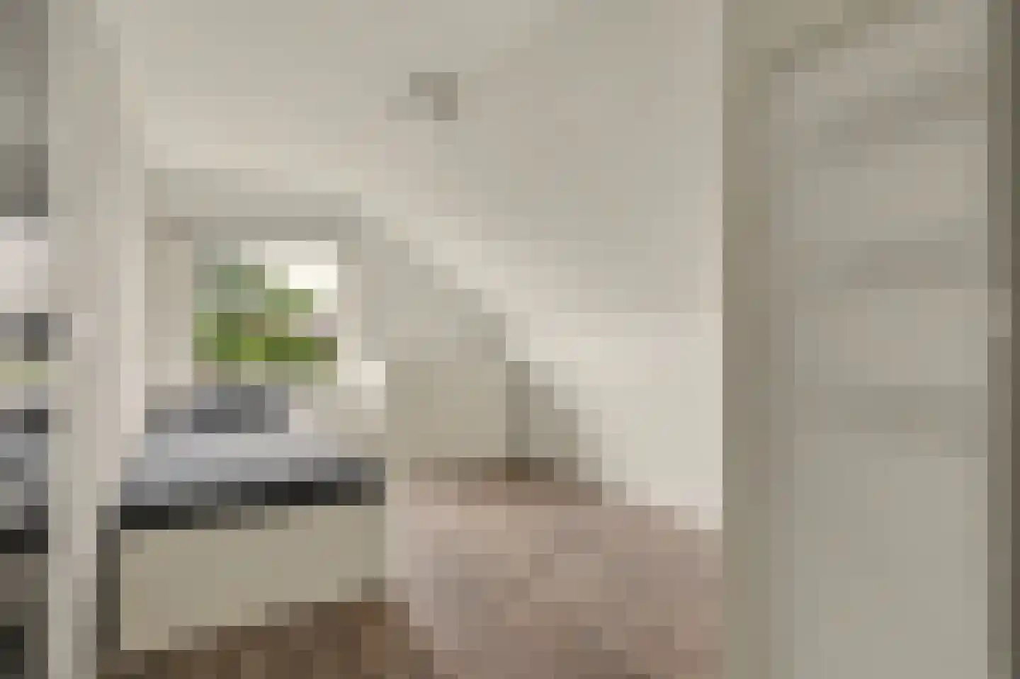 Hoge Noordweg 25 Naaldwijk thumbnail 25