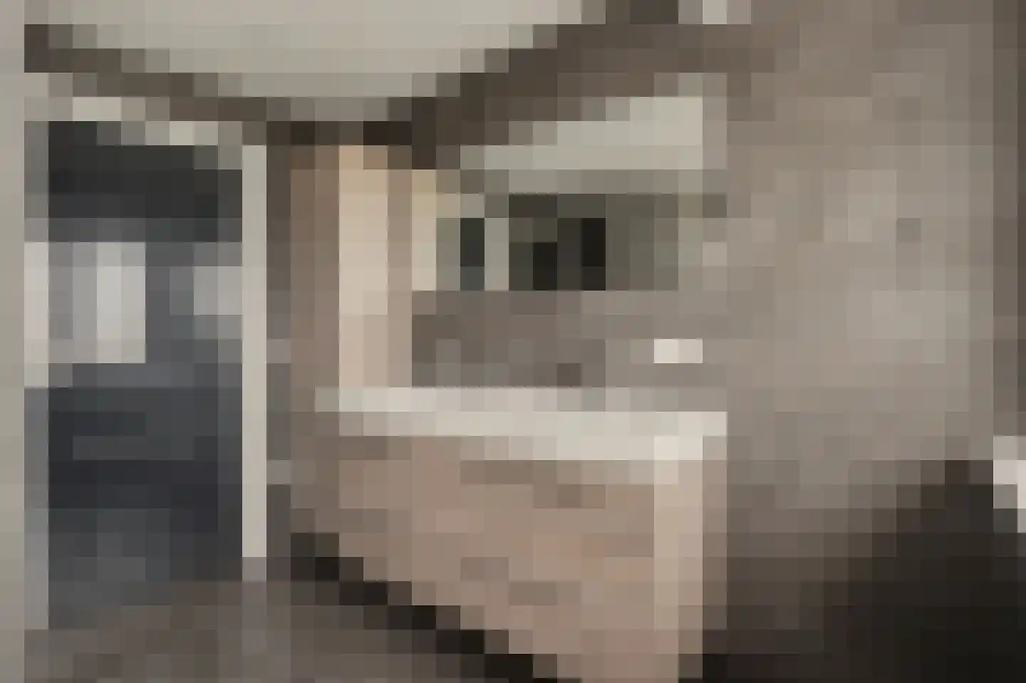 Hoge Noordweg 25 Naaldwijk thumbnail 31