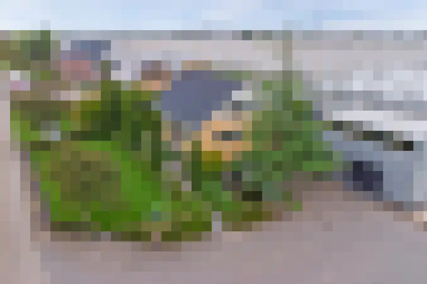 Hoge Noordweg 25 Naaldwijk thumbnail 4