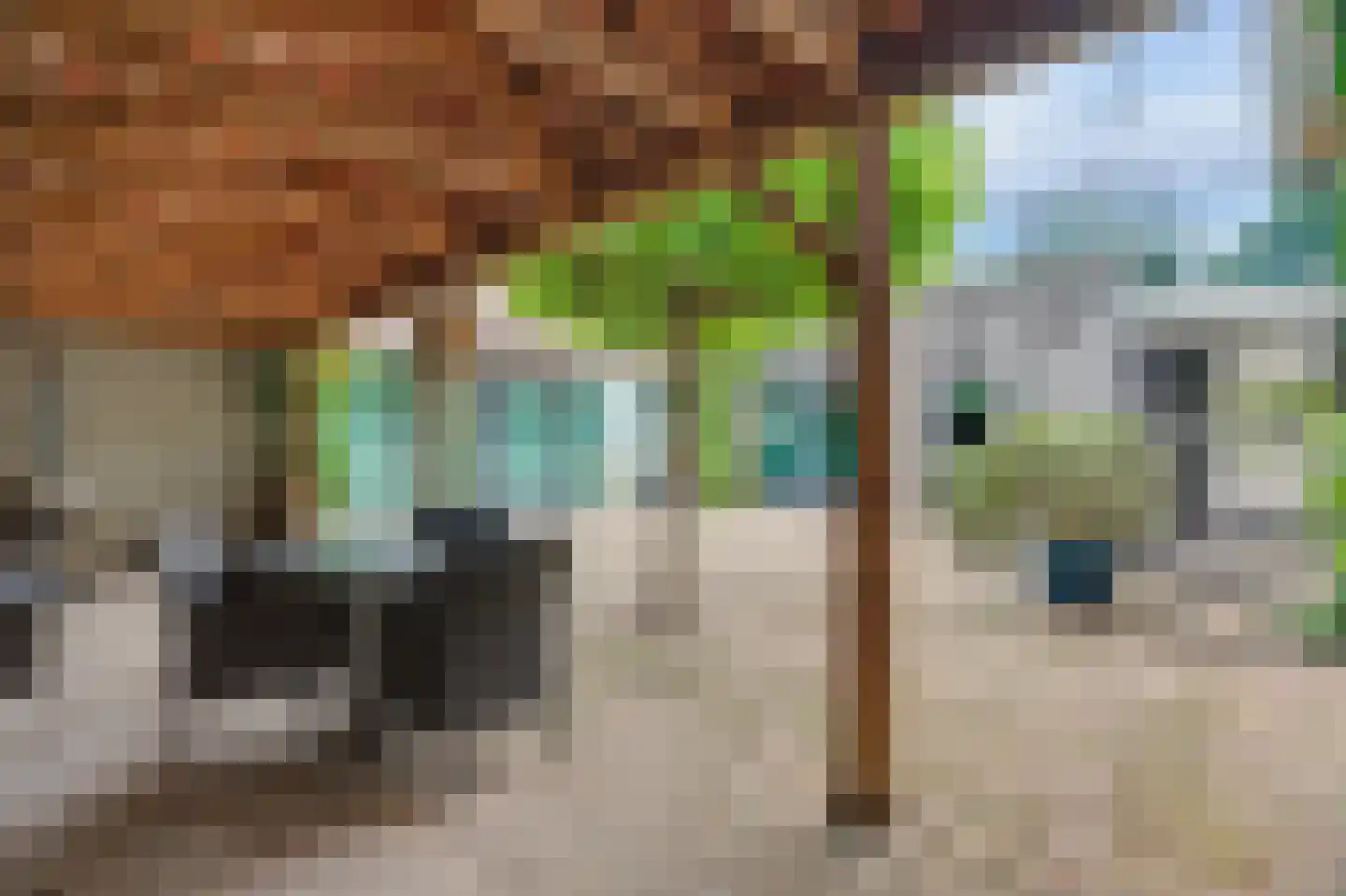 Hoge Noordweg 25 Naaldwijk thumbnail 42