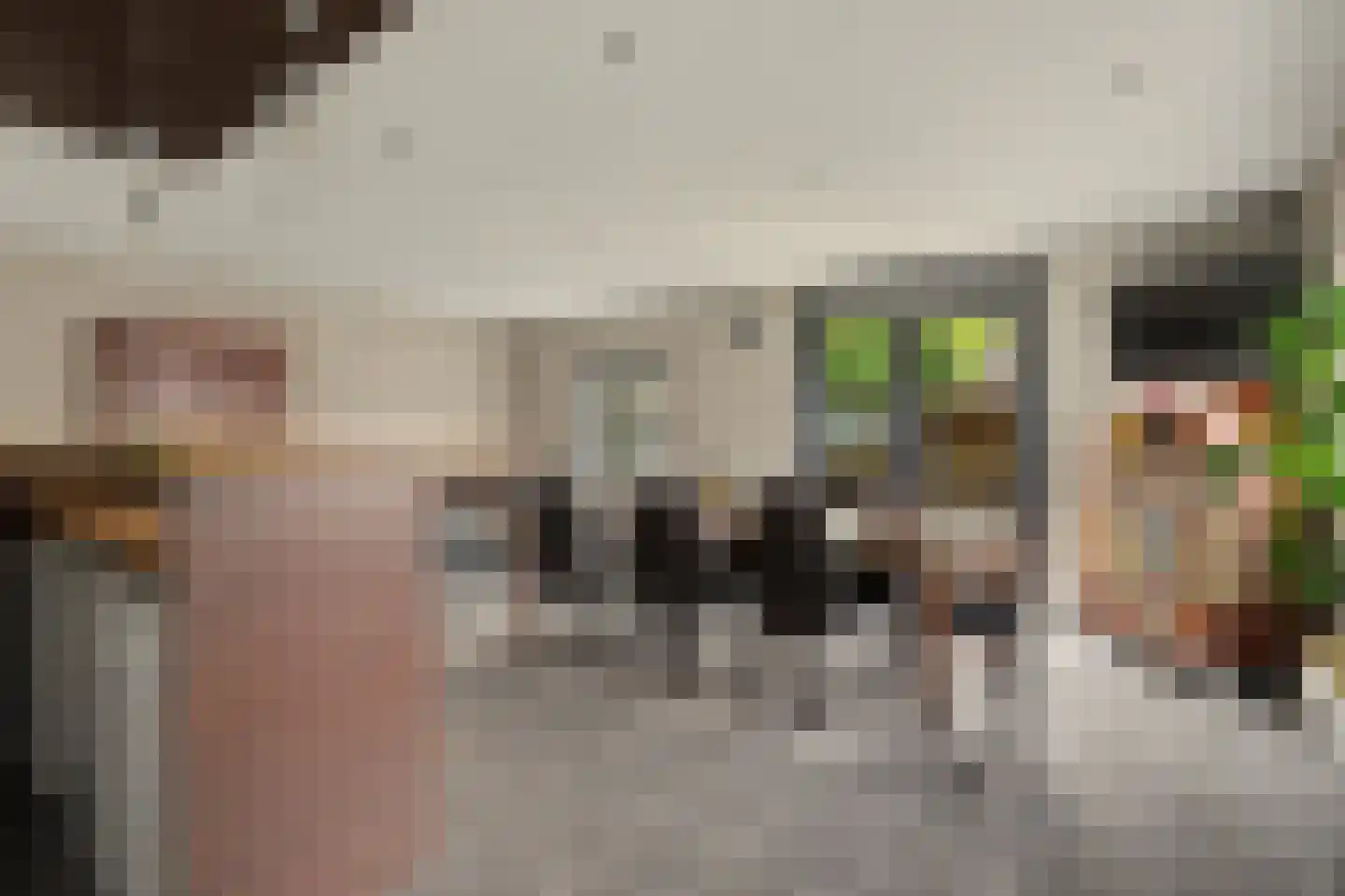 Hoge Noordweg 25 Naaldwijk thumbnail 43