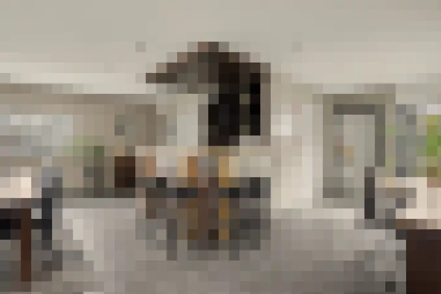 Hoge Noordweg 25 Naaldwijk thumbnail 44