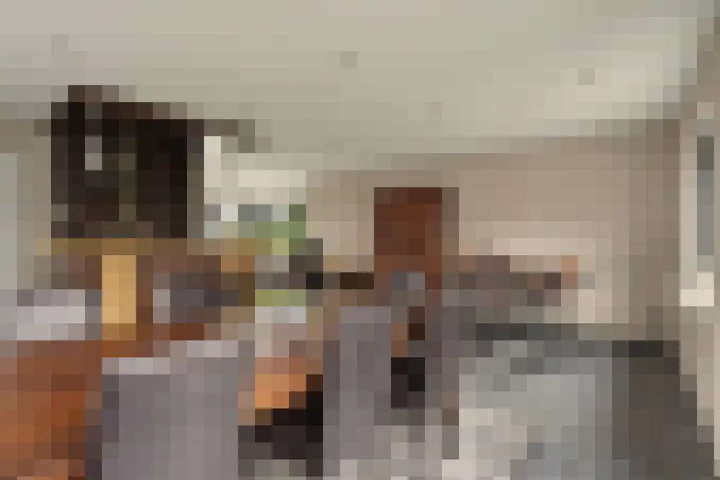Hoge Noordweg 25 Naaldwijk thumbnail 45