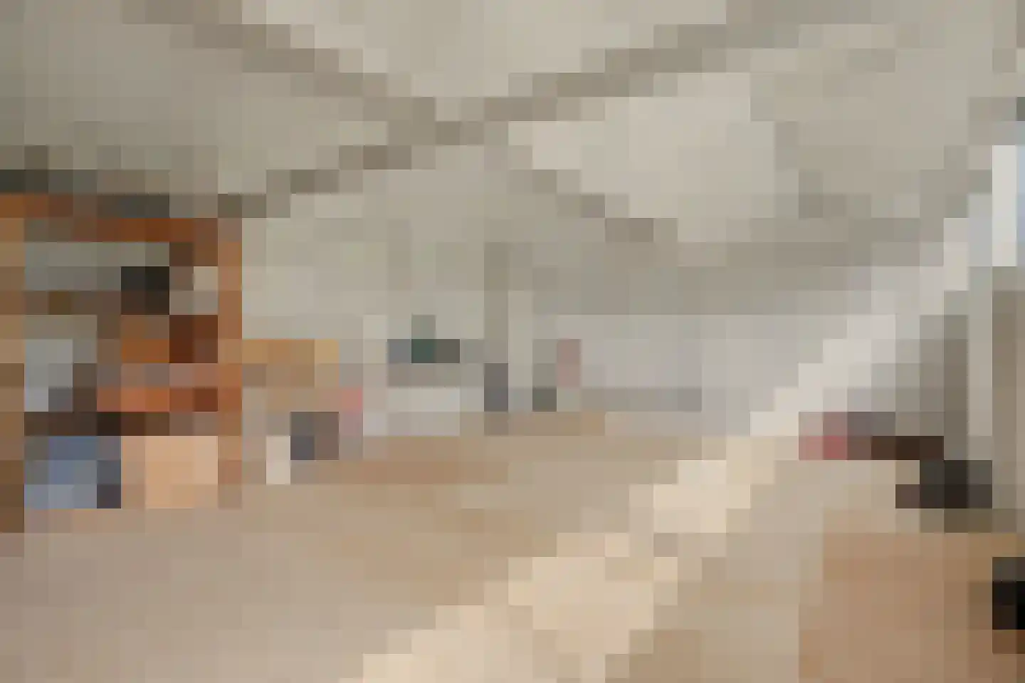 Hoge Noordweg 25 Naaldwijk thumbnail 50